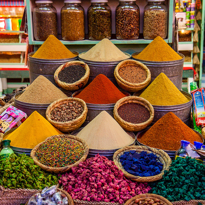 Exploring the Souks of Marrakech