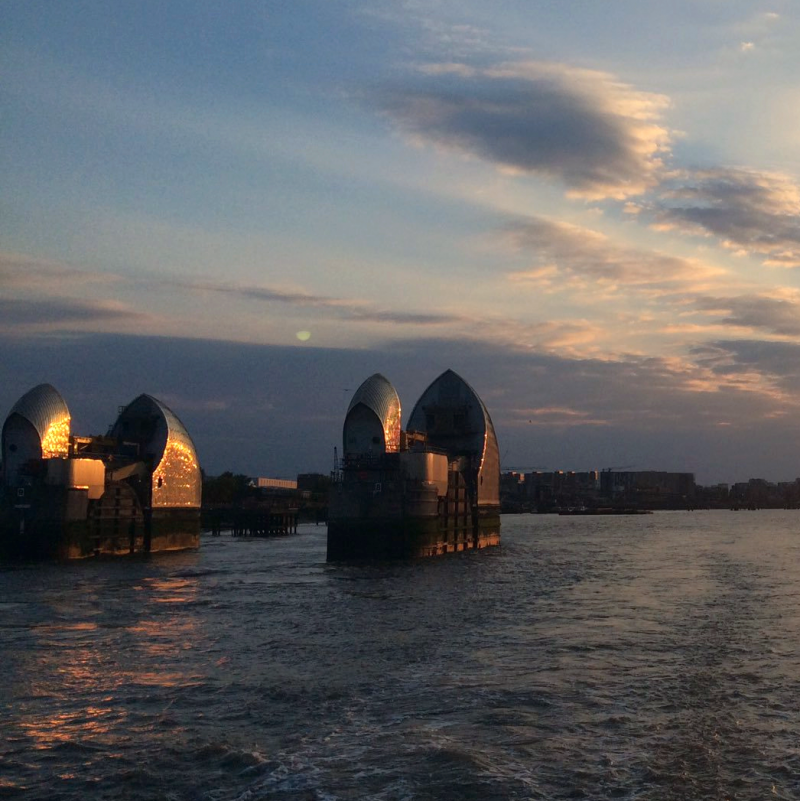 An Evening on the River Thames with City Cruises
