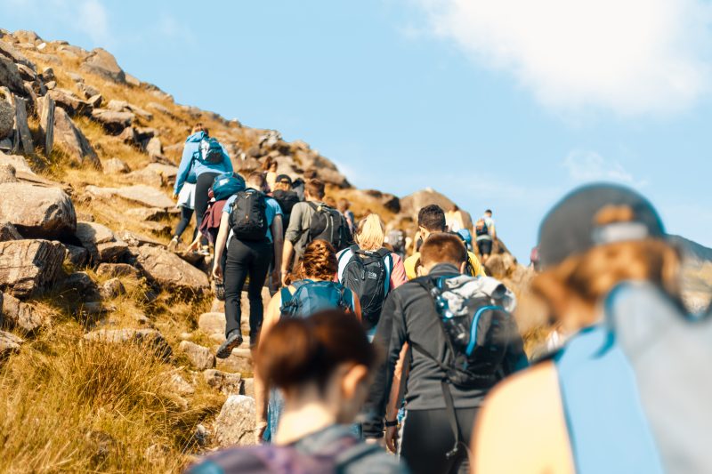 Hiking Snowdon with Where's Mollie