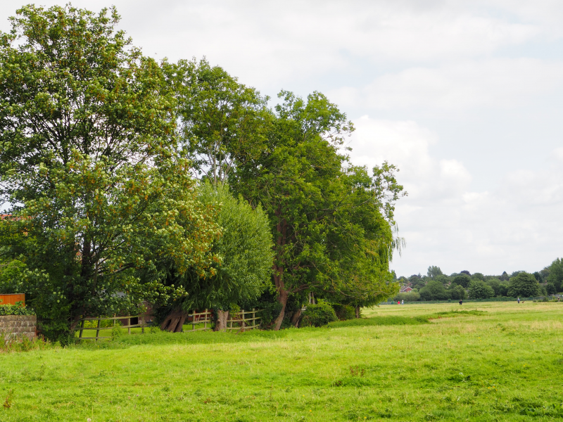 Exploring Wolvercote and Godstow