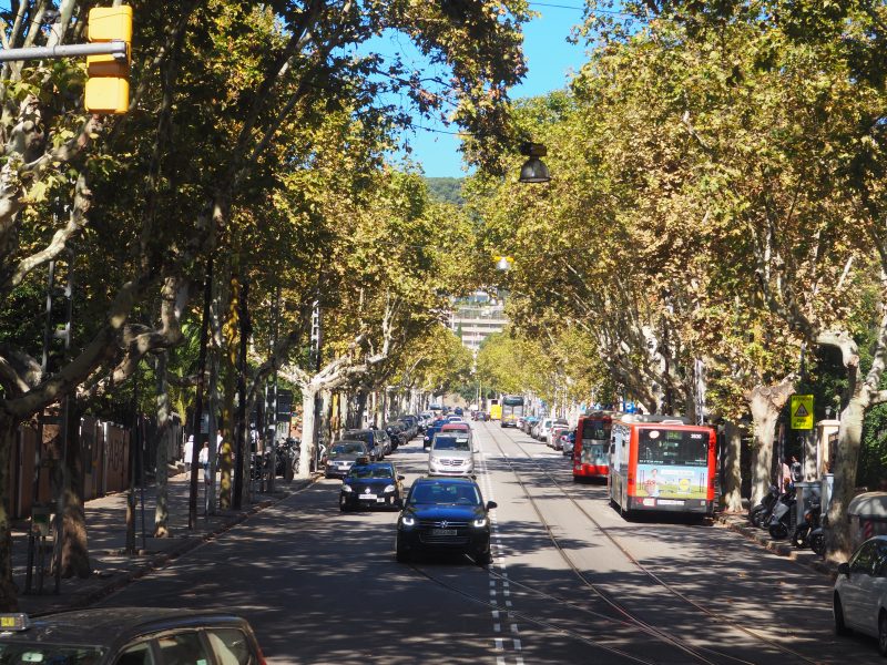 The Hop-On Hop-Off Bus of Barcelona