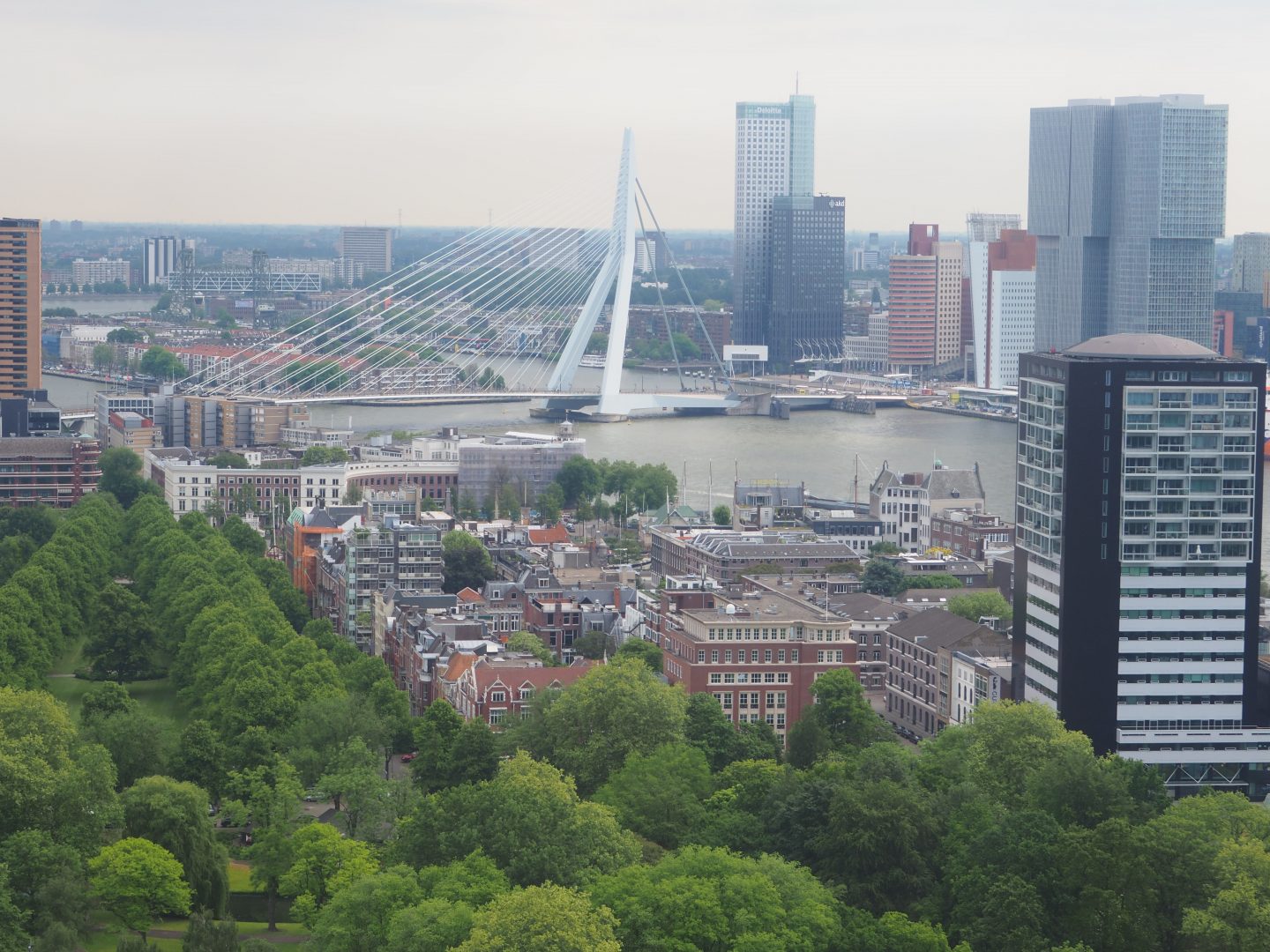 Discovering the Architecture of Rotterdam