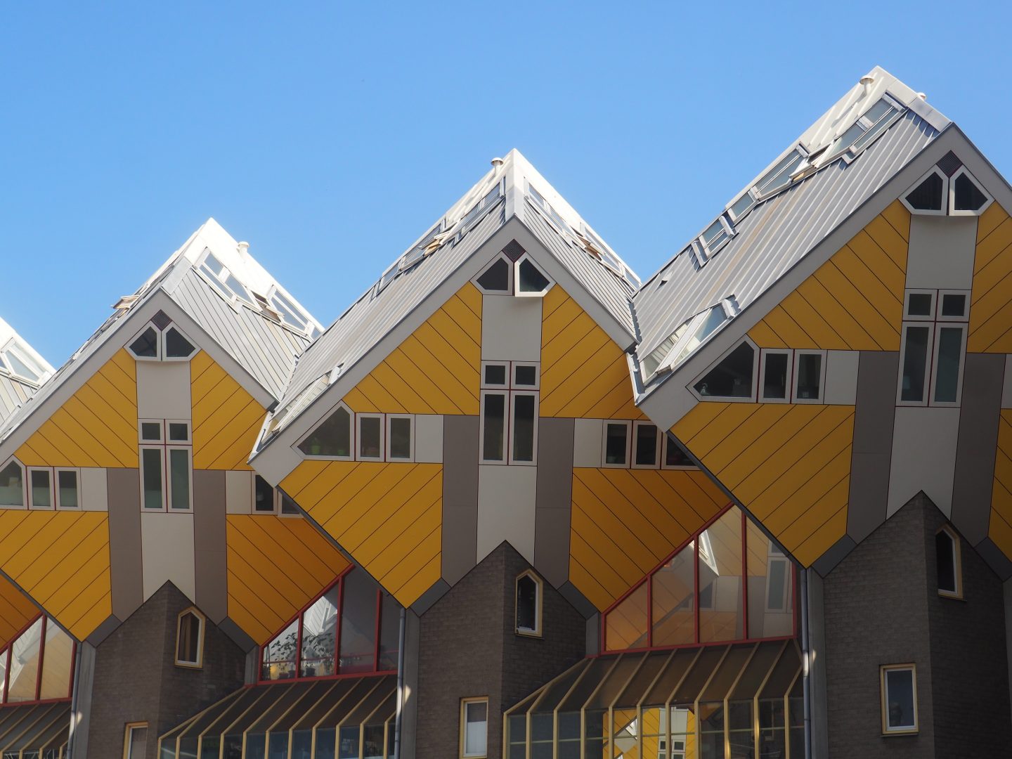 Discovering the Architecture of Rotterdam