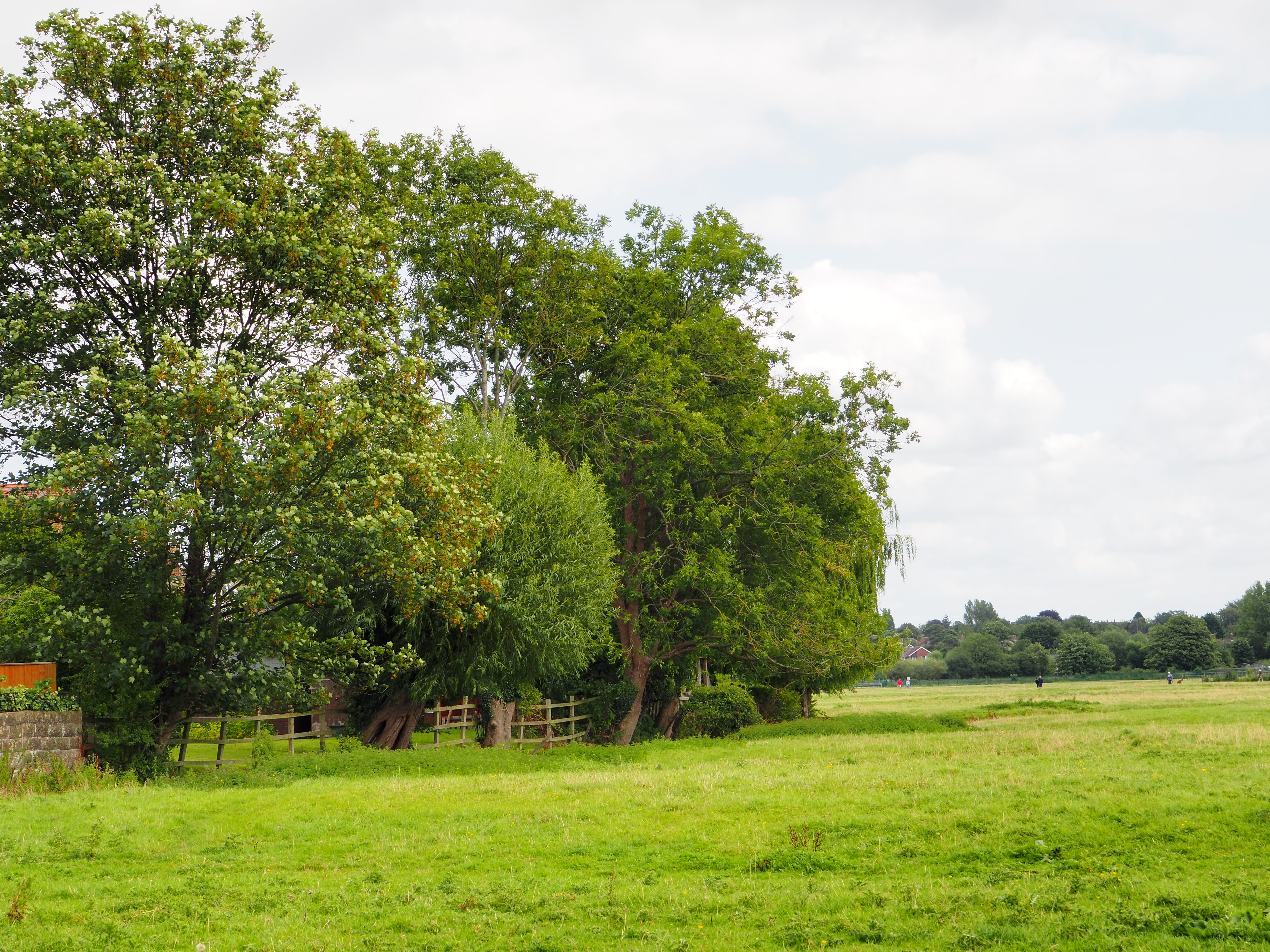 Wolvercote Common