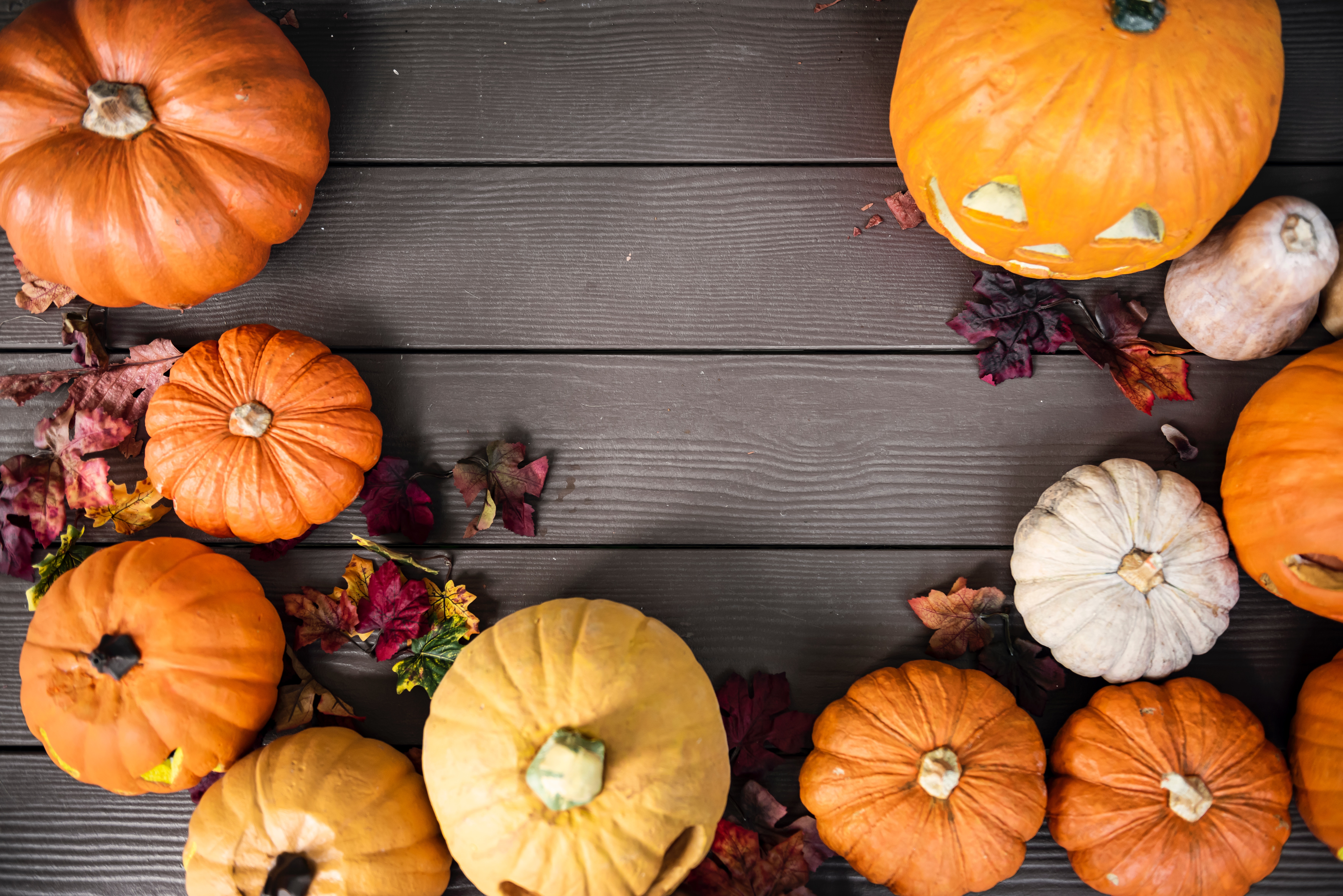 5 Places to Celebrate Halloween