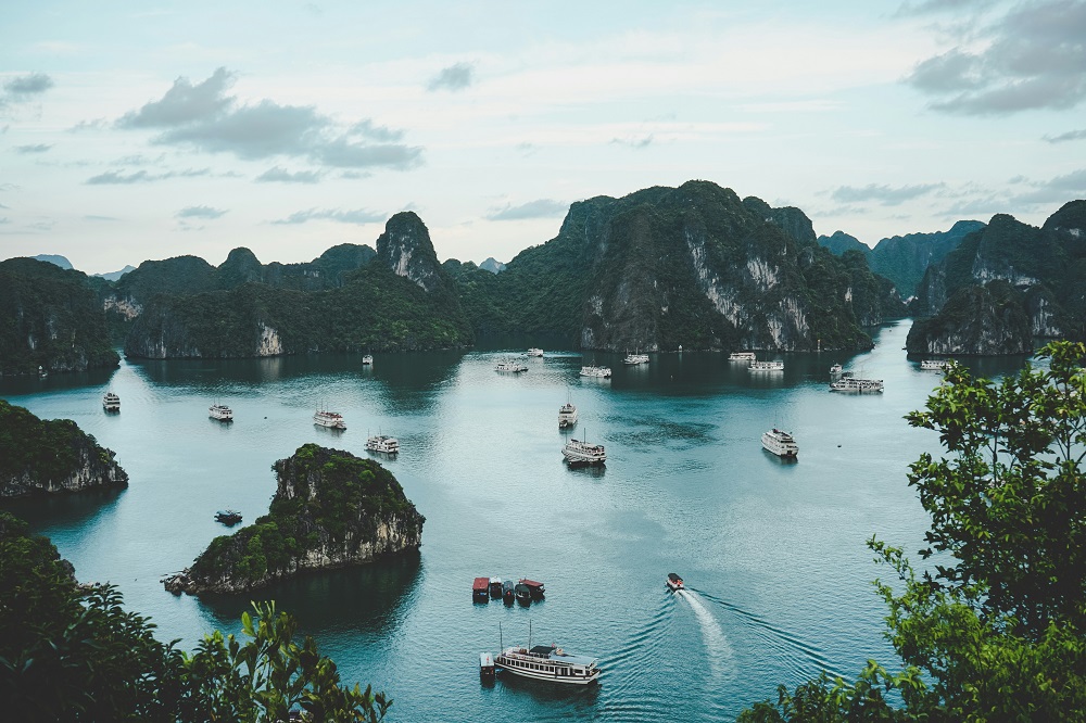A view of boats sailing in Ha Long Bay